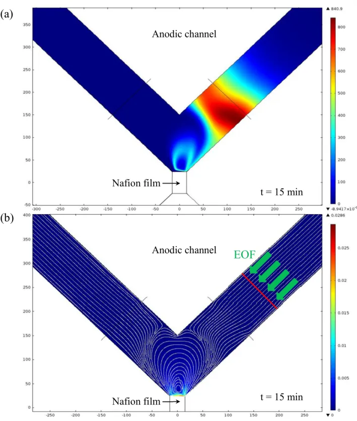 Figure 3.2 Simulatin results of pre-concentration and velocity field in SC-ICP device