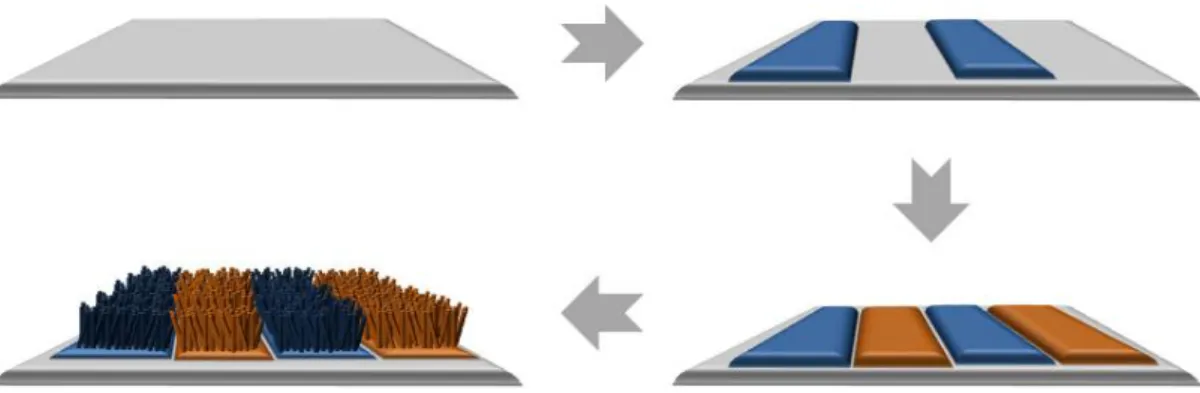 Figure 2.1 shows the schematic illustration for multiple nanowires species (ZnO and CuO) growth  on thermally grown SiO 2  layer with 200 nm thickness on a Si (100) single crystal substrate