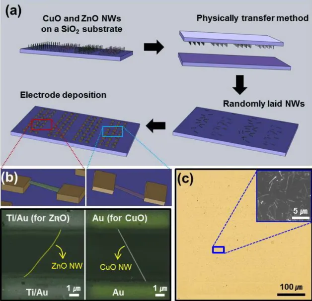 Figure 2.3 Schematic illustrations for fabricating the single nanowire sensors. 