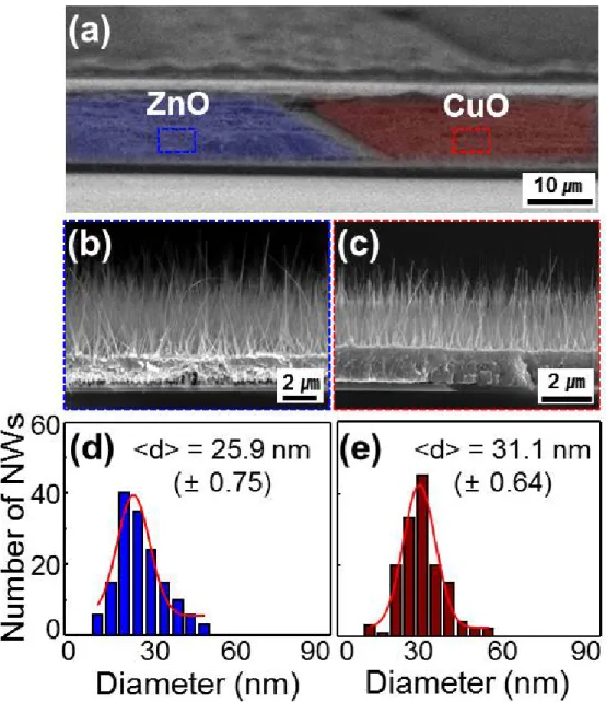 Figure 2.5 SEM images of (b) ZnO and (c) CuO nanowires on single substrate. The mean diameter of  (d) ZnO and (e) CuO nanowire are 25.9 (±0.75) nm and 31.1 (±0.64) nm, respectively