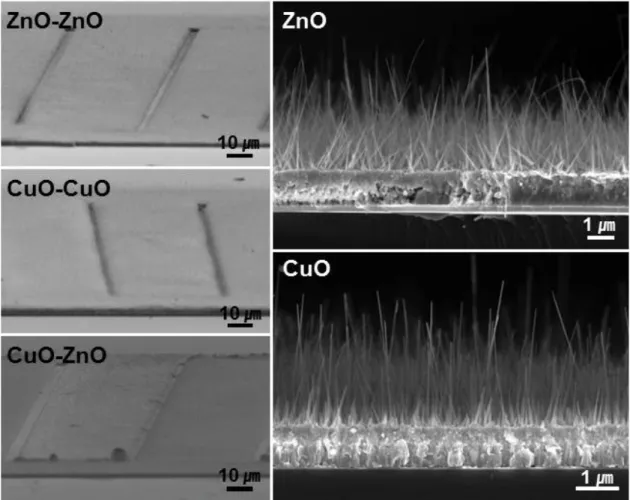 Figure 3.2  SEM images of tilted view for selectively growth and surface of patterned substrates  covered with nanowires