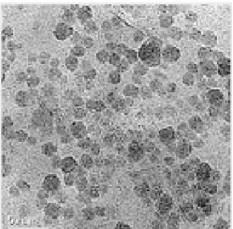 Figure 4-2. TEM image of graphite nanoparticles. 