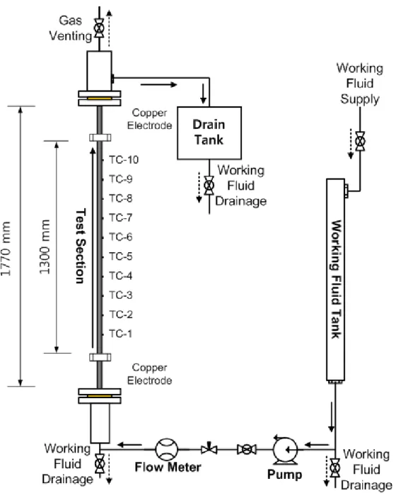 Figure 4-24. The reflood test apparatus. 