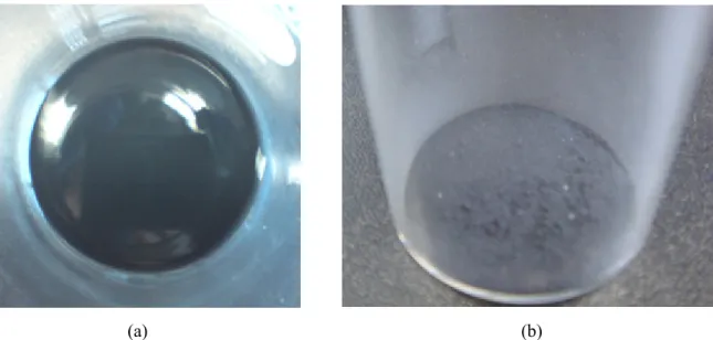 Figure 2-5. Preprocessing of silica coating: (a) before drying silica coated Ni particles and (b)  after drying silica-coated Ni particles.