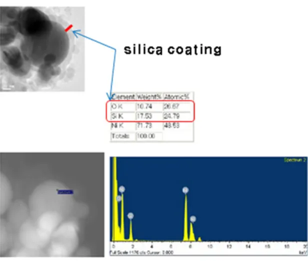 Figure 2-6. TEM EDS checking whether or not silica coating was successful. 