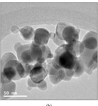 Figure 2-17. TEM images of CuO nanoparticles according to manufacturing methods: (a) one- one-step method and (b) two-one-step method