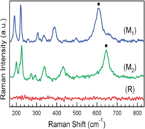 Figure 1.3 Raman spectra with Vanadium dioxide nanowire phase(adapted from ref. 16). 
