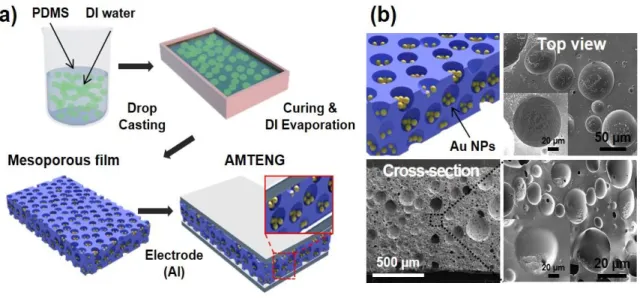 Figure 17. (a) Schematic diagrams of the fabrication process for the Au nanoparticles- nanoparticles-embedded mosoporous TENG