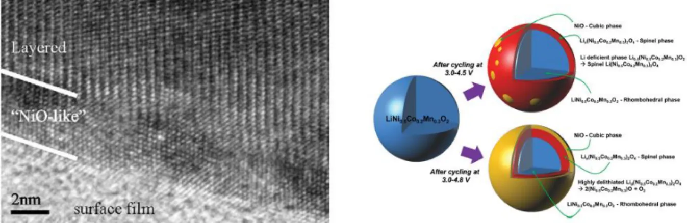 Figure 8. (a) TEM image of LiNi 0.8 Co 0.2 O 2  cycled for only SEI formation cycle. (b) Schematic phase  transition mechanisms of LiNi 0.5 Co 0.2 Mn 0.3 O 2  after cycle test 