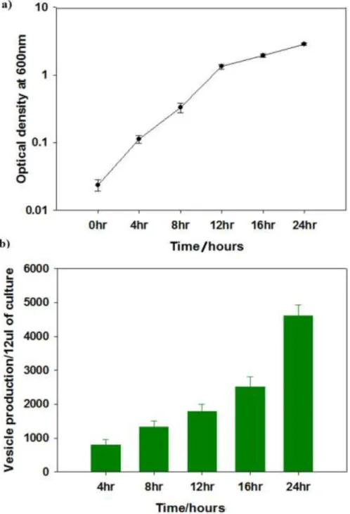Fig 2.4 FACS analysis to quantify the MVs production within each time point/ growth stages