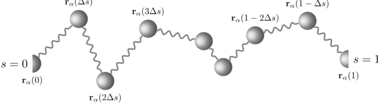 Figure 2-2: A polymer chain represented by N bonds model. In this model, the number of segments and bonds are equally N = 8