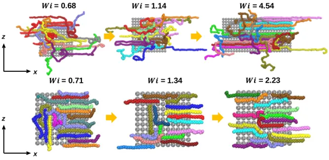 Figure  4.1.5  Snapshots  near  the  bottom  wall  projected  onto  the xz-plane  of  C 178 H 358  (top)  and  C 30 H 62  (bottom)  melts  with ɛ wf =4.47 in the 1 st  regime of  d s , showing the tendency of chain orientation along  the  flow direction  w