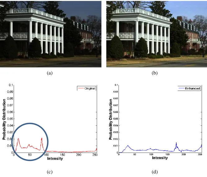 Figure 1.1: Low contrast image enhancement. (a) An input low contrast image and (b) the enhanced  image