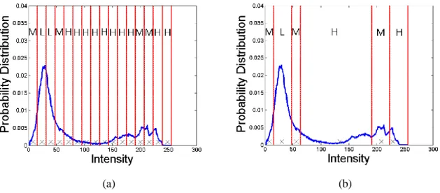 Figure 3.4: Global estimation for low contrast region. (a) Initial contrast region labeling