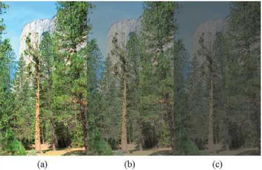 Figure 5. Simulated Images for Showing Hunt Effect (Fairchild, 2013) 