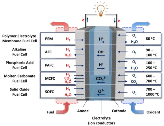 Figure 1.2. Overview of fuel cell types. 