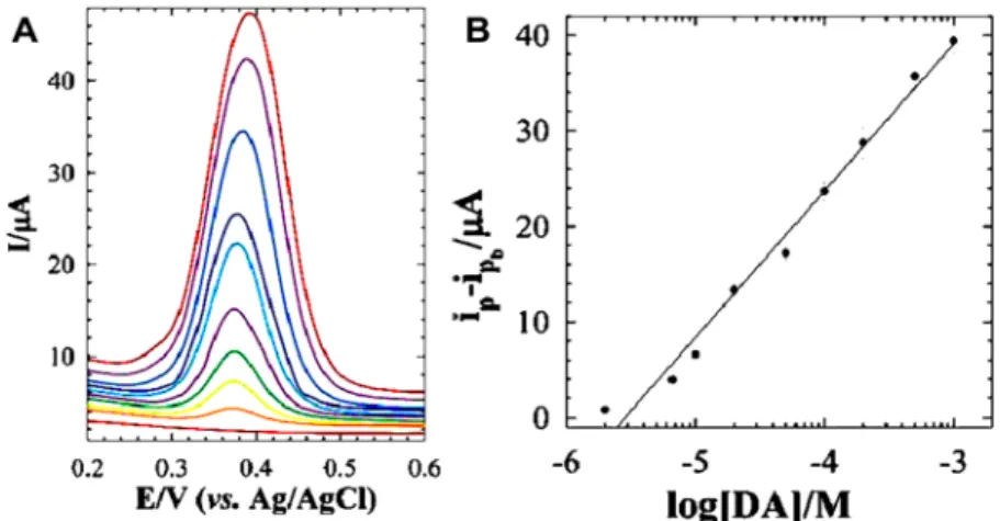 Figure 6. (A) DPV curves recorded on the carbon-paste-electrode/graphene nanosheet in dopamine-free PBS, after 25 min preconcentration in PBS containing di ﬀ erent concentrations of dopamine