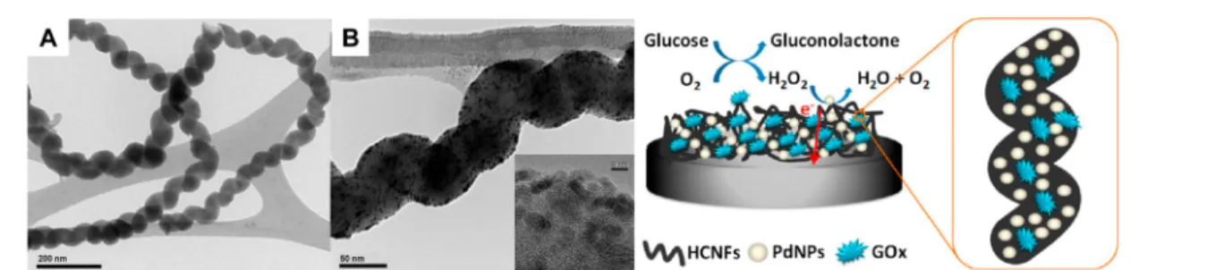 Figure 15. TEM images showing (A) unmodiﬁed helical carbon nanoﬁber (HCNFs) and (B) PdNP-decorated HCNFs and (right) representation of glucose and H 2 O 2 sensing using the Naﬁon/Pd-HCNF/GCE sensor