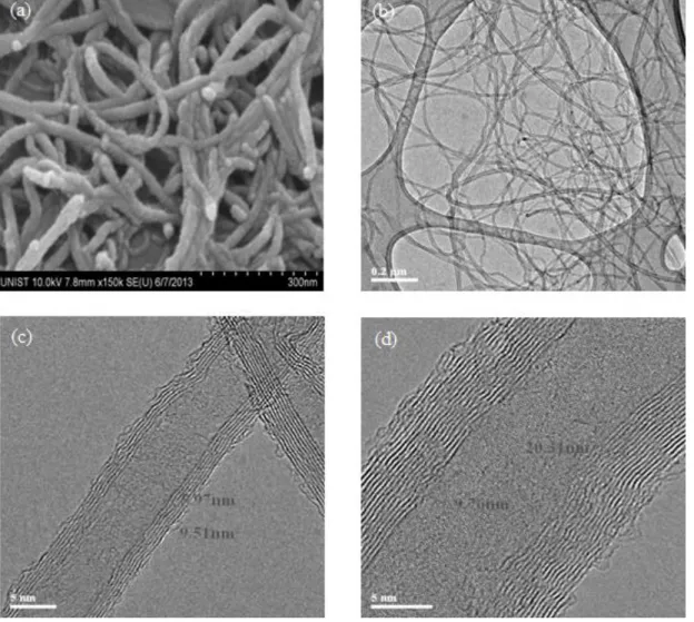 Fig. 2.1. HR-SEM and HR-TEM images of MWCNT: (a) high magnification SEM image; (b)  MWNTs  deposited  on  a  lacey  carbon  film  supported  by  a  mesh  copper  grid;  (c)  HR-TEM  image of Single MWNT (CM250); (d) HR-TEM image of Single MWNT (CM100)
