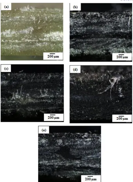 Fig. 2.11. Optical micrographs of uncured MWCNT/UPE nanocomposite: (a) Case A; (b) Case B; (c)  Case C1; (d) Case C2; (e) Case C100; (f) Case C3;   