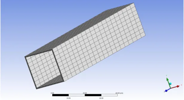 Fig IV.14 Geometry of guide structure with mapped face meshing 
