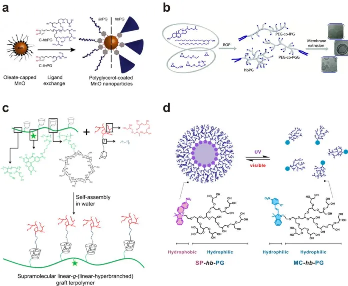 Figure 5. PGs with a (a) catechol, (b) cholesterol, (c) adamantly and (d) spiropyran as single focal  group for metal oxide nanoparticle coating, multifunctional liposomes, supramolecular  linear-g-hyperbranched graft polymers and light-responsive micelles