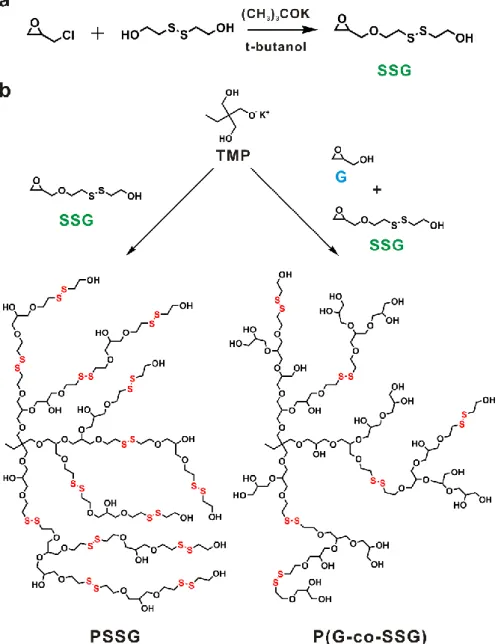 Figure 1. Synthetic pathways for the preparation of (a) redox-active disulfide monomer (SSG) and (b)  polymers  from  pure  SSG  monomers  to  yield  the  PSSG  homopolymer  and  from  SSG  and  glycerol  monomers (G) to generate the P(G-co-SSG) copolymer