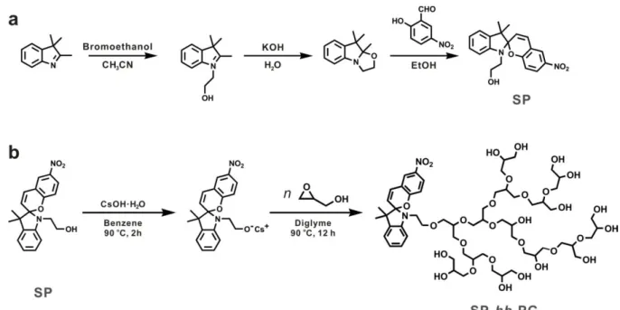 Figure 1. Synthetic Approach for Preparation of: a) Spiropyran Derivative Containing Hydroxyl Group,  b) SP-hb-PG Polymers