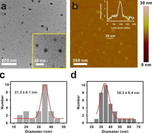 Figure 4. (a) TEM and (b) height-mode AFM images of SP-hb-PG 29   micelles. (c, d) Corresponding  size distributions determined by TEM and AFM showing an average diameter of 31.3 nm and 38.2 nm,  respectively