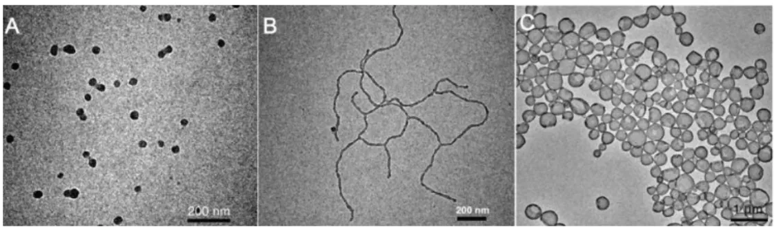 Figure 1.1 . (A−C) TEM images of micelles and polymersomes formed by self-assembly of PEG-b- PEG-b-PBOx in water