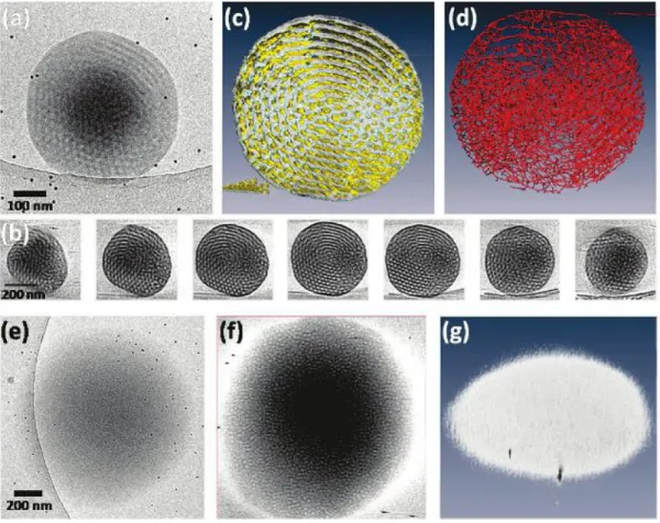 Figure 1.6 TEM analysis of PEO 39 -b-PODMA 17  aggregates.  29