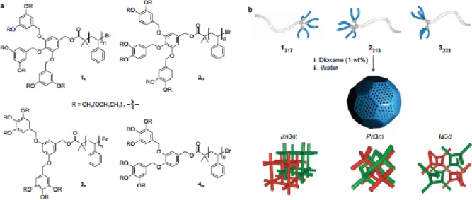 Figure 1.7 Chemical structures and schematic diagrams of dendritic–linear block copolymers and  their self-assembly