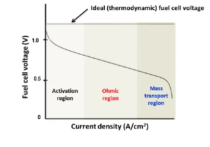Figure 1.3. Schematic of fuel cell i-V curve 