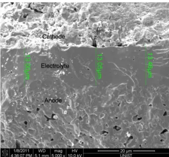 Figure  3.4    Scanning  electron  micrographs  of  the  cross  section  view  of  tri-layer  single  cell  (NiO- (NiO-YSZ/YSZ/La n+1 Ni n O 3n+1 –YSZ)