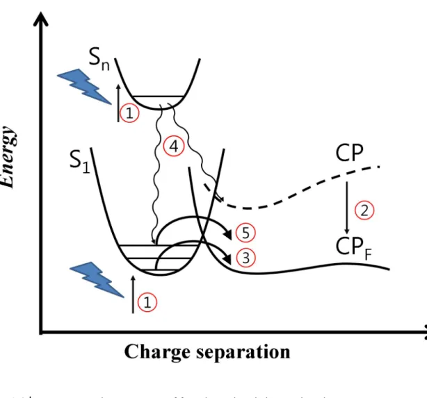 Figure 1.4｜Processes to photo-generate of free charge in pristine semiconductors. 