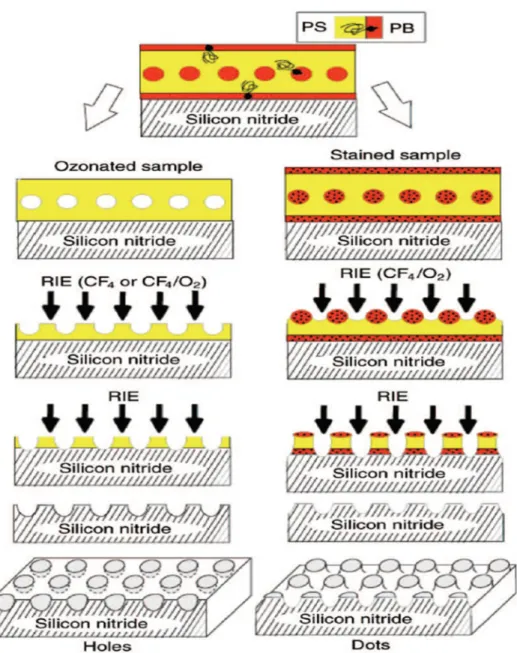 Figure 1.13｜Diagram of a PS-b-PBD block copolymer film having a single layer of spherical 