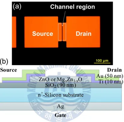 Fig. 2.3  (a)  Top  view  image  of  MgZnO-TFT  measured  by  optical  microscopy  (b)  Schematic  diagram  of  the  MgZnO  TFT  structure