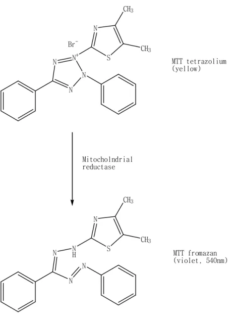 Figure 3.  Metabolization of MTT to a MTT formazan by viable cells.