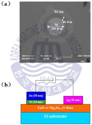Fig.  4.8  (a)  SEM  image  showing  a  top  view  of  the  lateral  Schottky  diode  pattern  and  (b)  a  schematic  cross  section  of  the  Schottky  diode