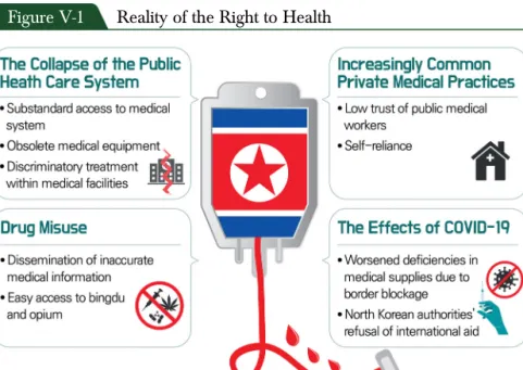 Figure V-1 Reality of the Right to Health