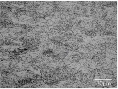 Fig.  2.1  Microstructure  of  STS420J2  before  heat  treatment.