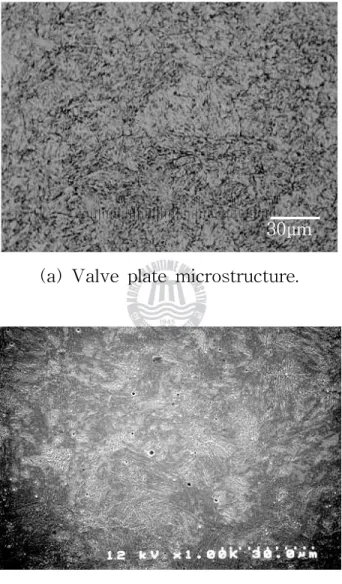 Fig.  2.4  Microstructure  and  SEM  micrograph  of  traditional 