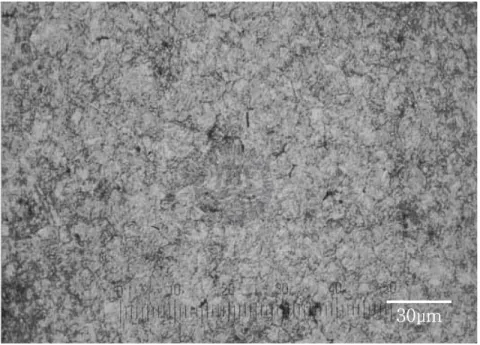 Fig.  2.7  Microstructure  of  traditional  product  “D”.