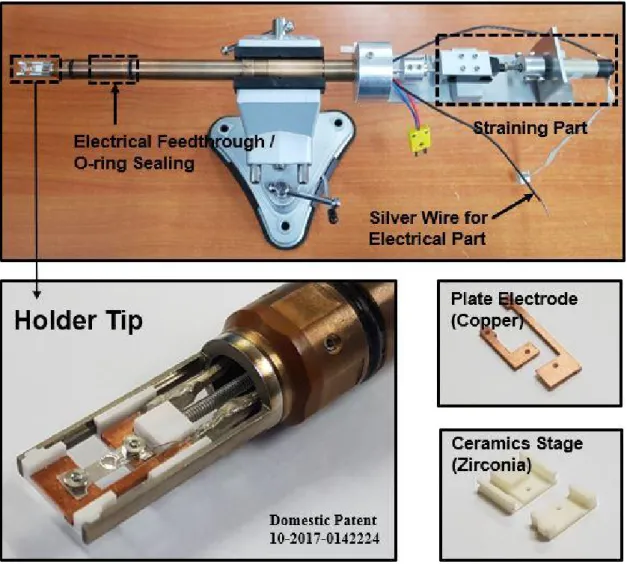 Figure 3. Overview of electrical-straining TEM holder and Holder tip