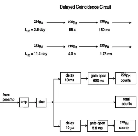 Figure 7. The schematic diagram of the delayed coincidence circuit (Moore  and Arnold, 1996).