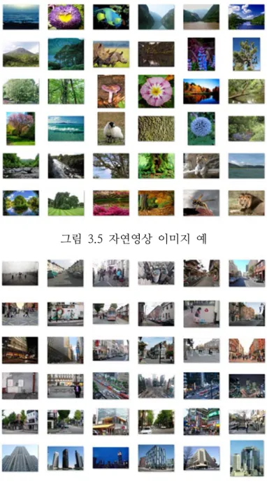 그림  3.5  자연영상  이미지  예 