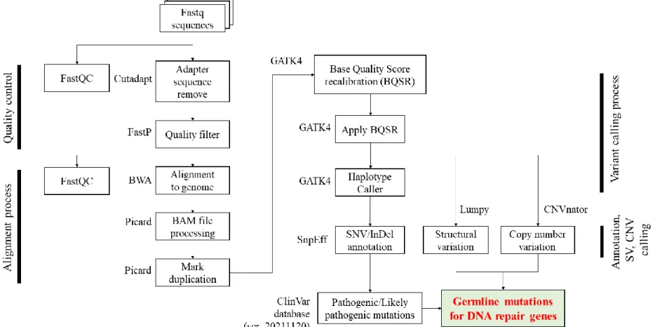 Figure 1. Whole genome analysis pipeline (Human reference genome GRCh38 : hg38) 