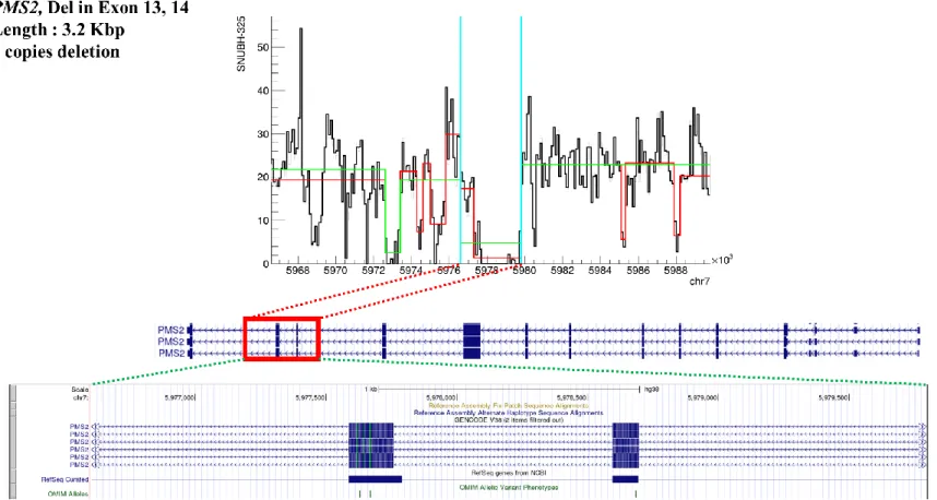 Figure 4. Location and signal profile of copy number variation in PMS2, deletion found in exons 13 and 14 (length 3.2 Kbp)