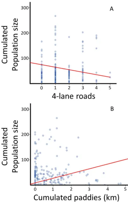 Figure 2.3. Relationship between population size and the number of ≥ four-lane roads (A)  and cumulated distance of rice paddies on the straight line between clusters (B)