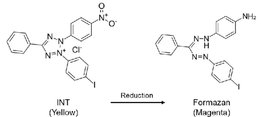 Figure 3. Reduction of INT. 